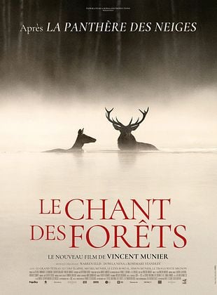 Le Chant des forêts