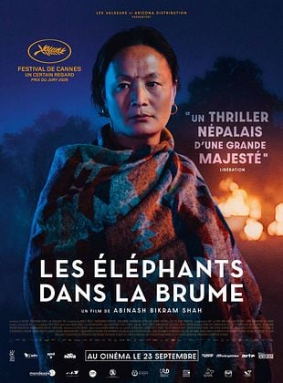 Les Éléphants dans la brume